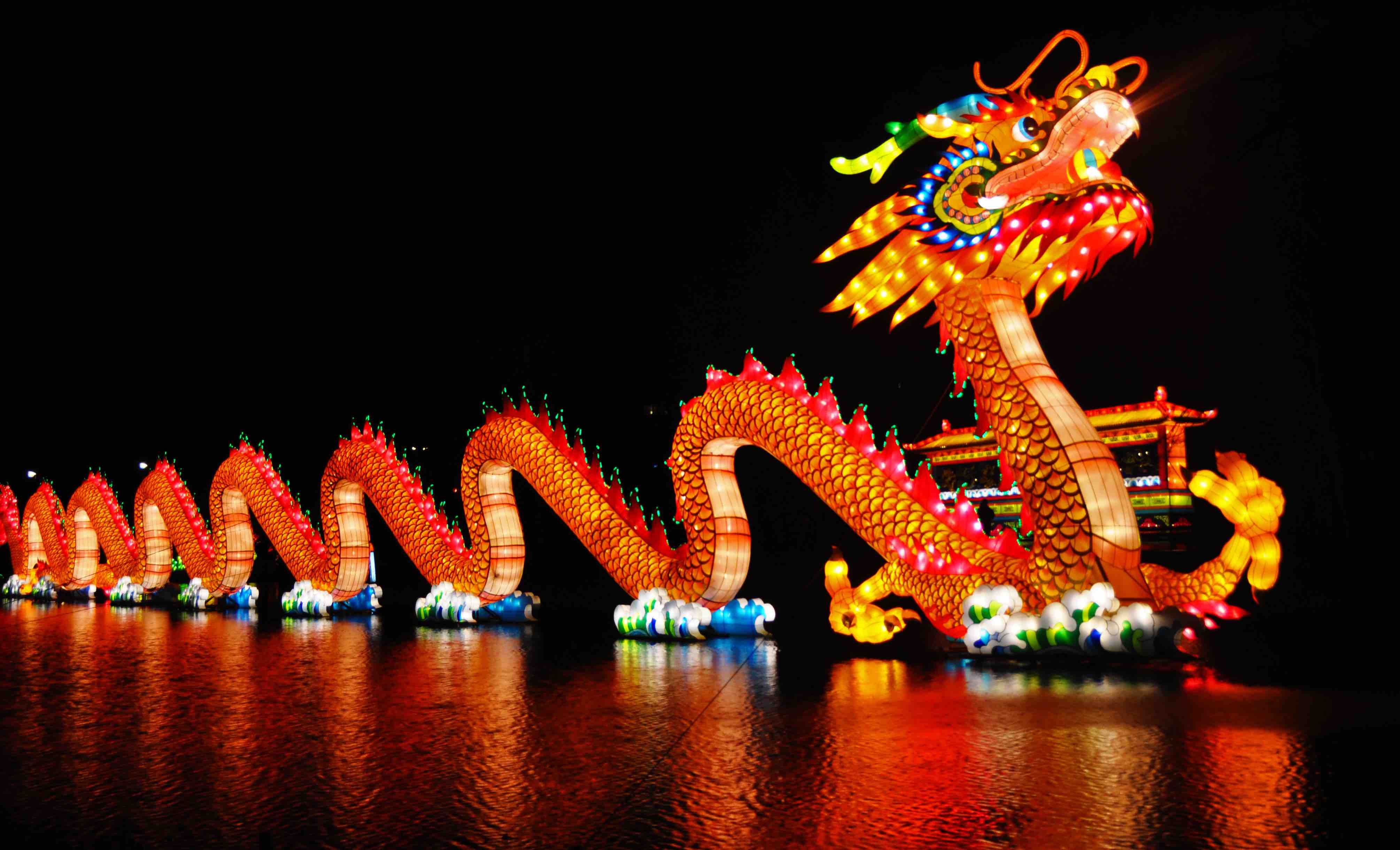 chinese new year dragon